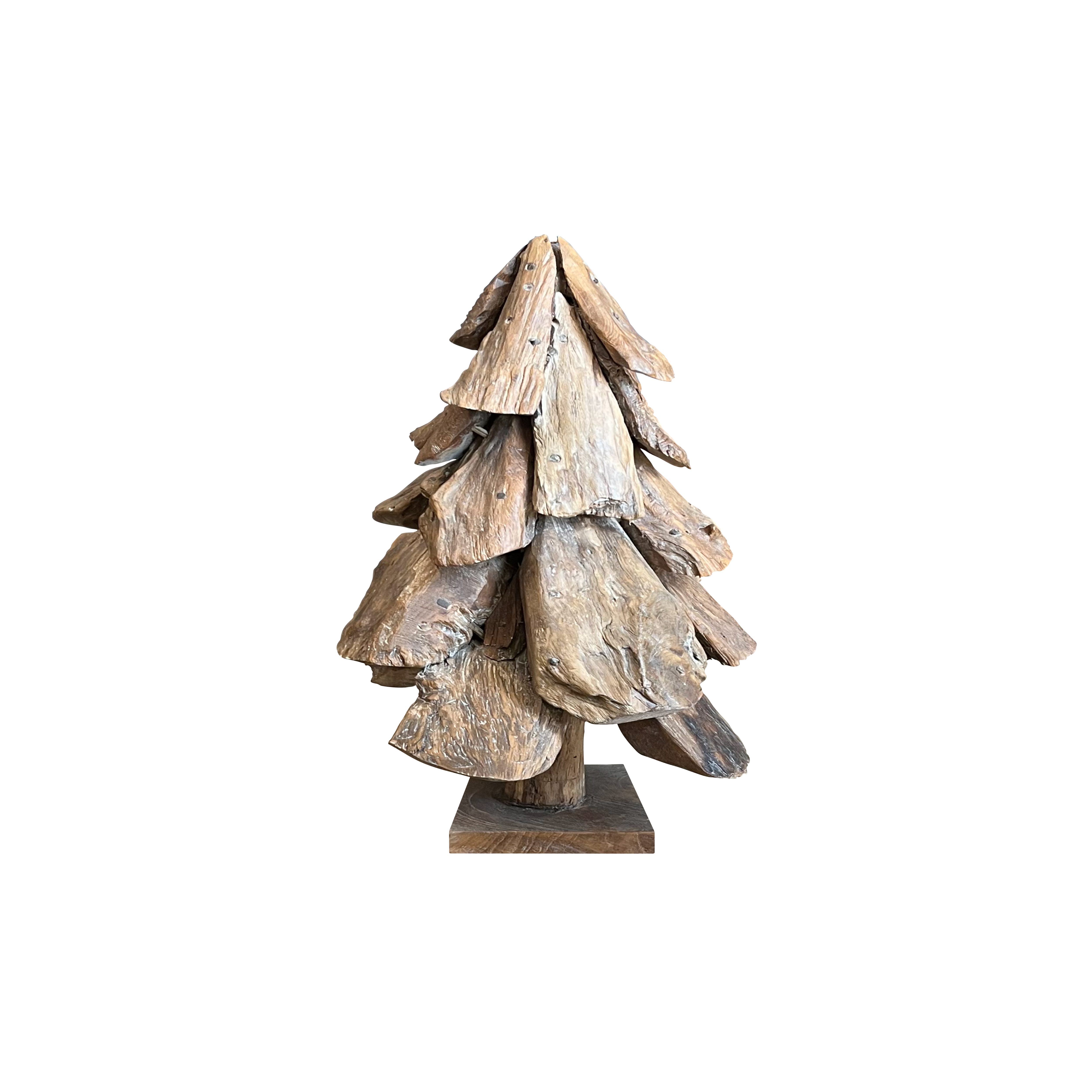 Tropisch drijfhout Boom Den 65 cm hoog