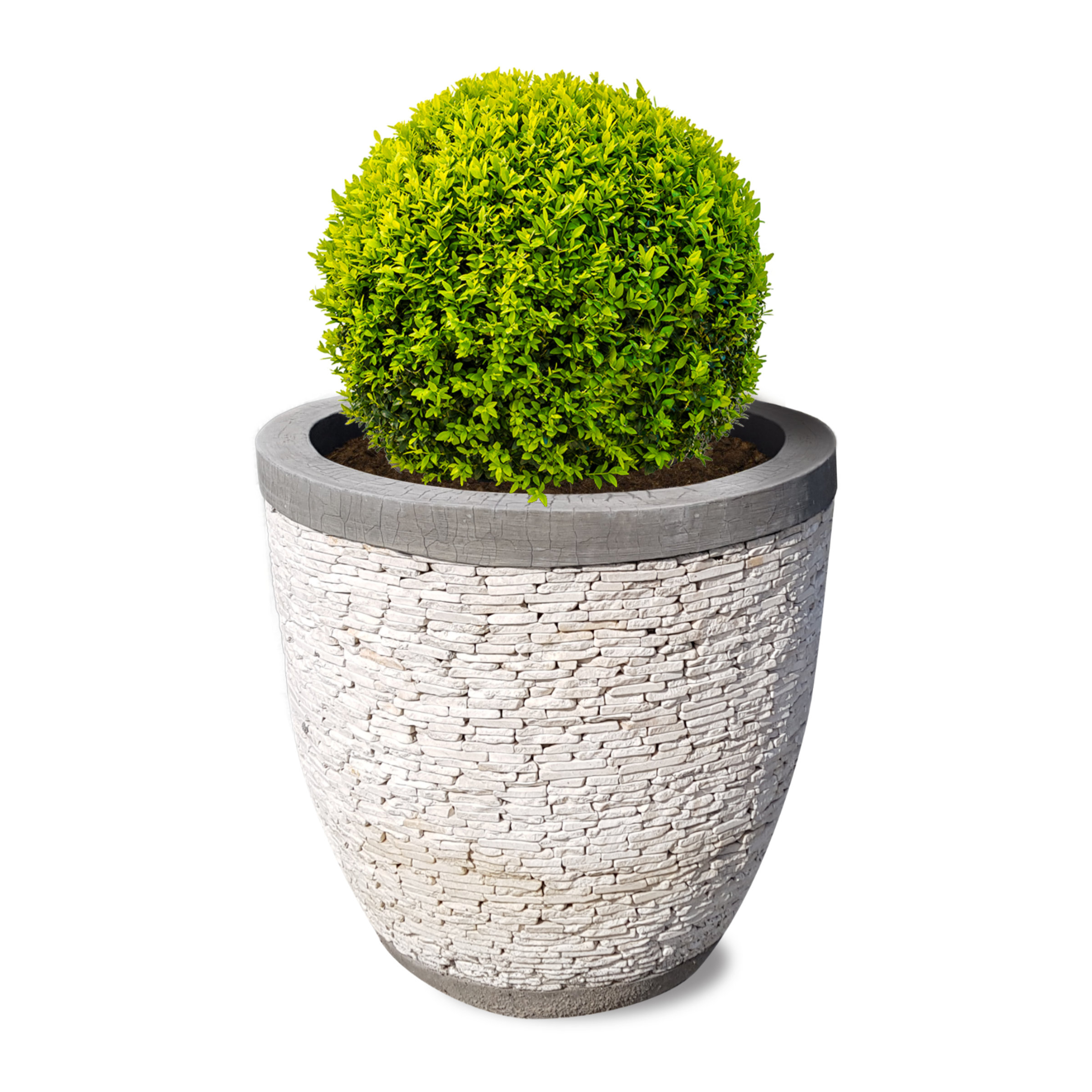 Plantenbak Milaan